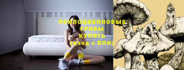 apvp Алексин