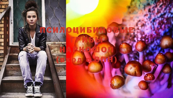 гидропоника Абаза